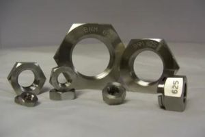 Hastelloy Nuts