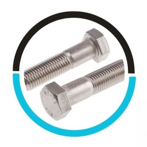 Titanium-heavy-hex-bolt in UAE
