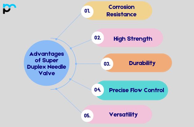 Advantages of Super Duplex Needle Valve